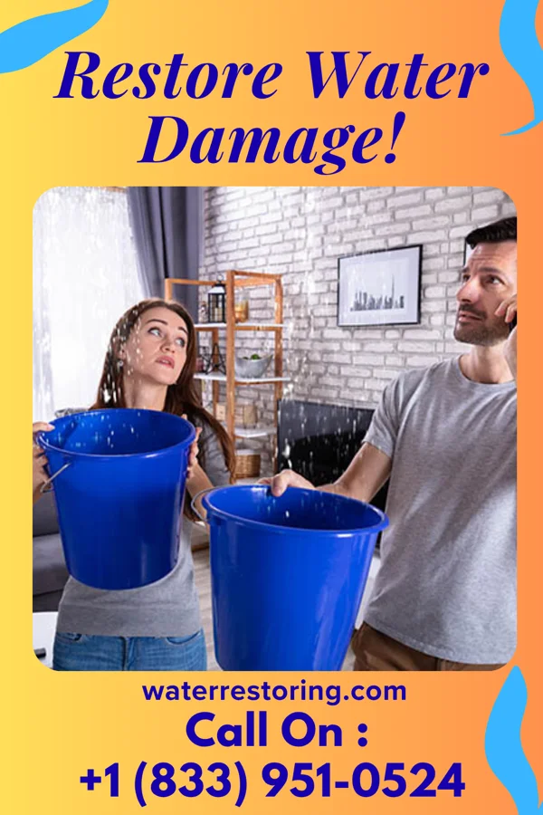 water restoration Platinum Flood Damage Partners Munden